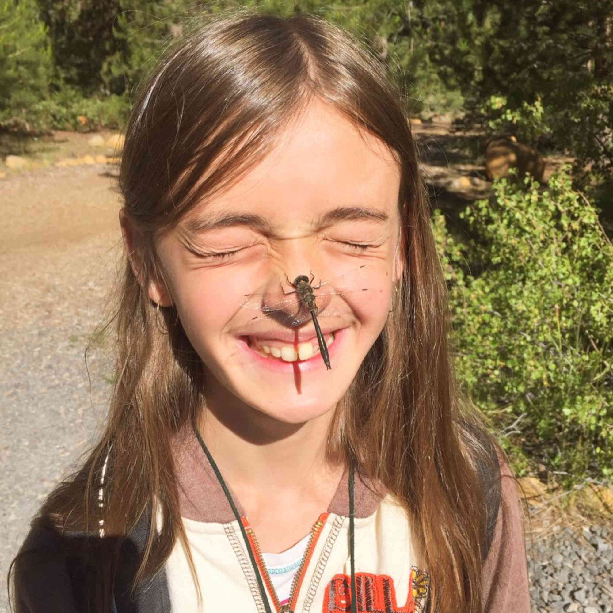 Dragon Fly landed on girls nose